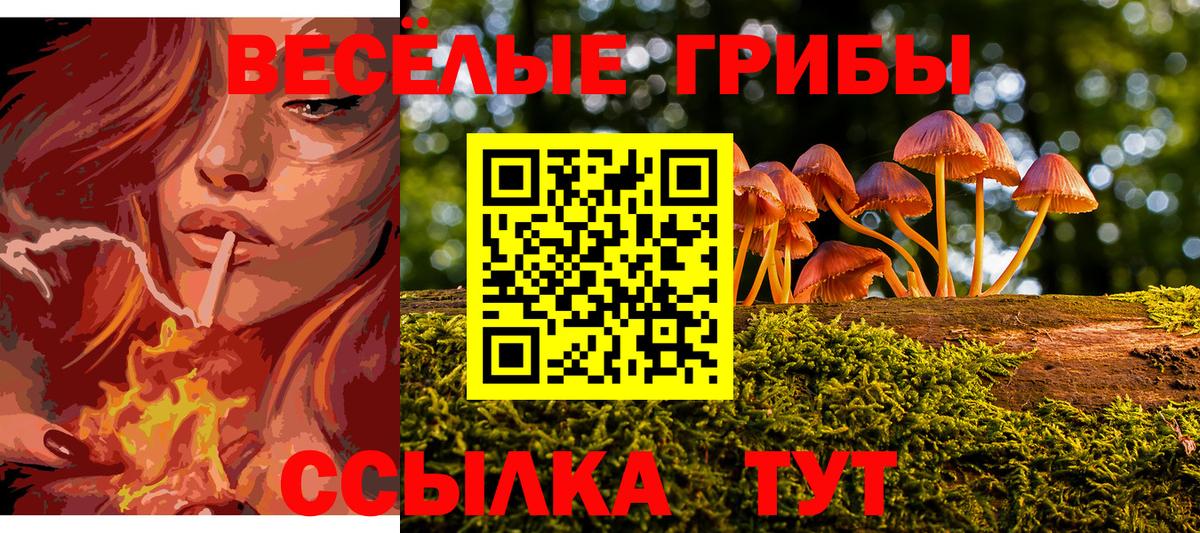 Коломна  Галлюциногенные грибы MAGIC MUSHROOMS  купить наркотик  Вход с VPN 