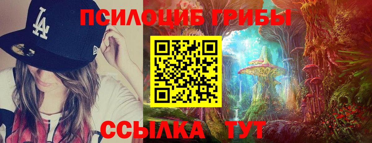 Псилоцибиновые грибы мицелий Коломна